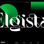 Elgista
